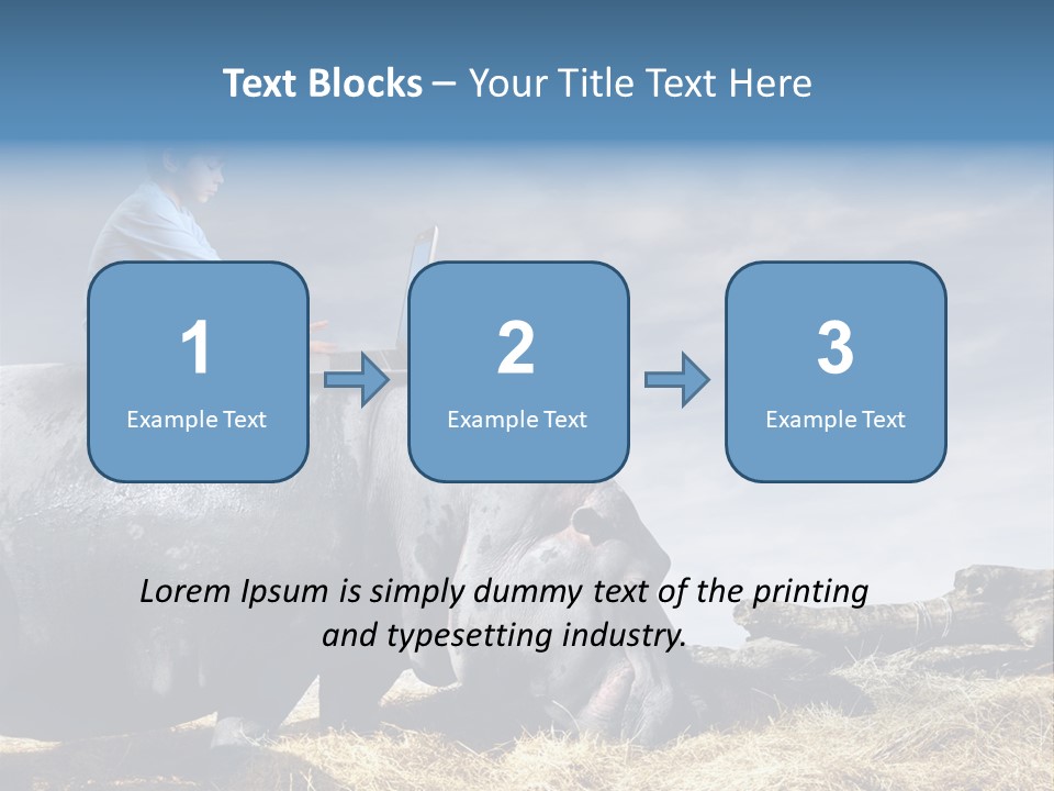 Hippo Boy Connection PowerPoint Template