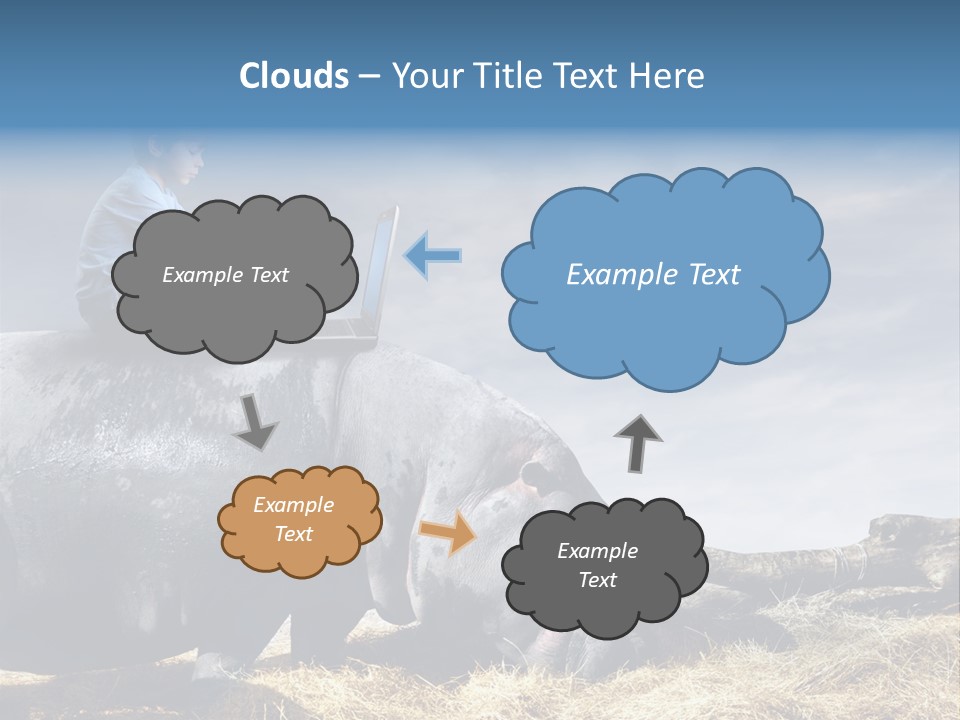 Hippo Boy Connection PowerPoint Template