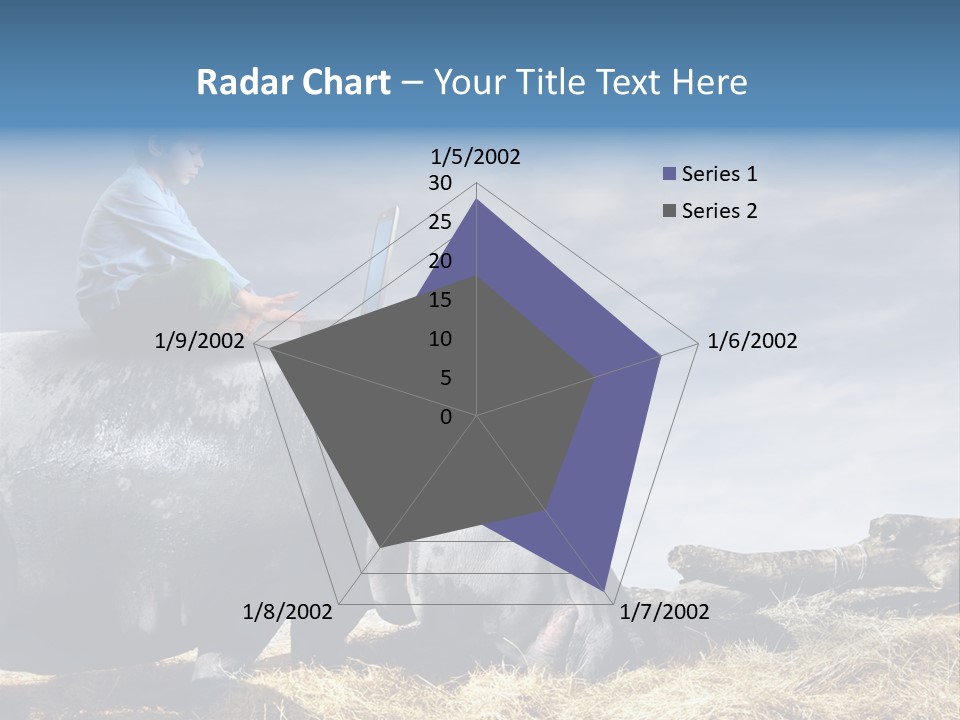 Hippo Boy Connection PowerPoint Template
