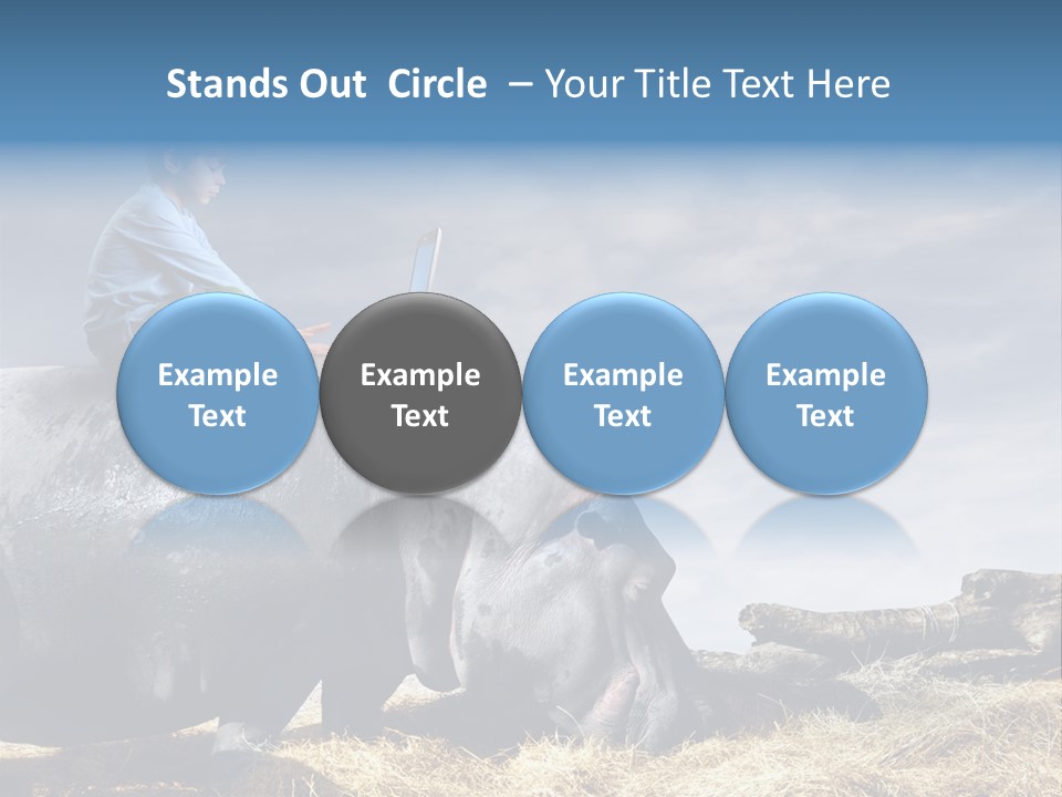 Hippo Boy Connection PowerPoint Template