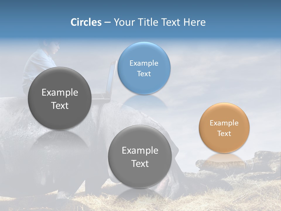 Hippo Boy Connection PowerPoint Template