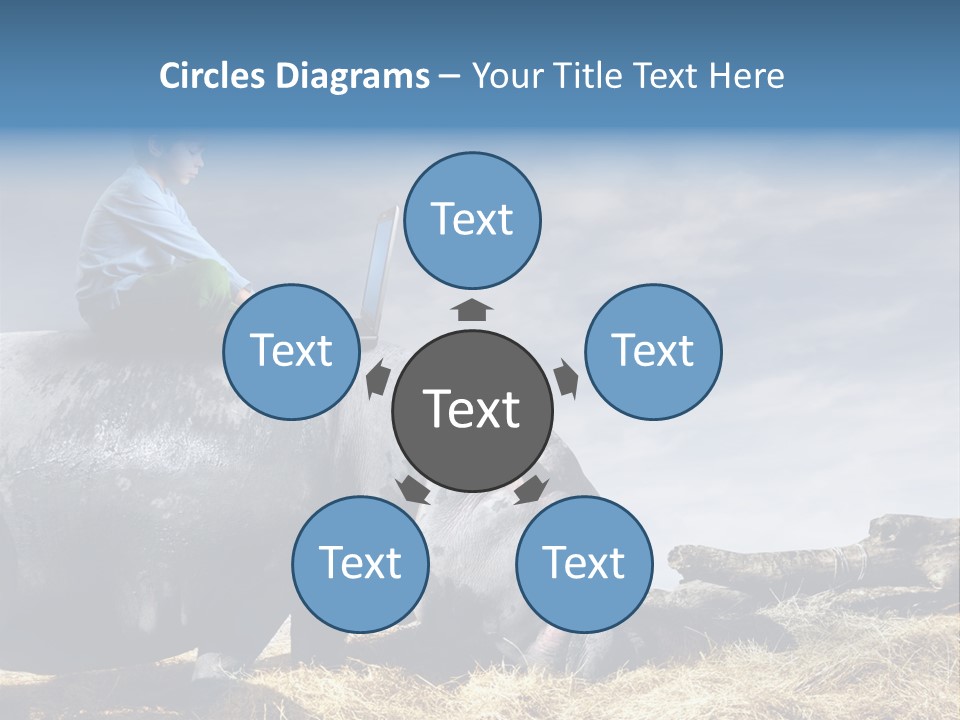 Hippo Boy Connection PowerPoint Template