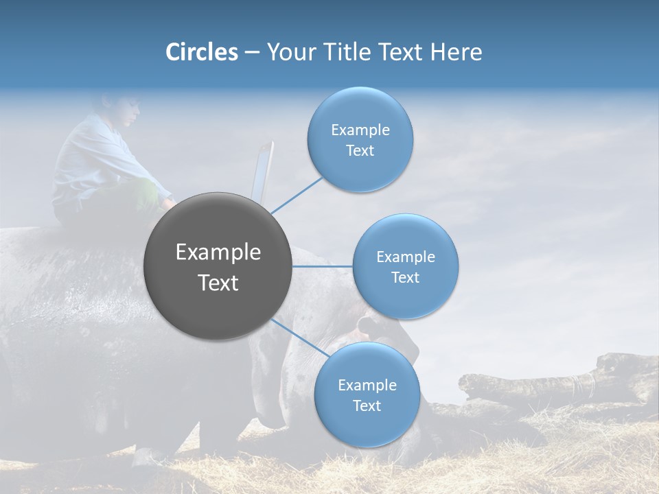 Hippo Boy Connection PowerPoint Template