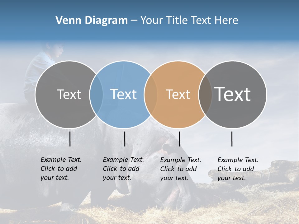 Hippo Boy Connection PowerPoint Template