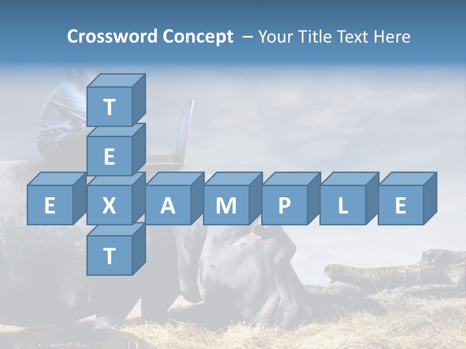 Hippo Boy Connection PowerPoint Template