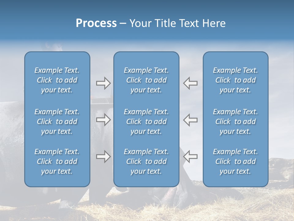Hippo Boy Connection PowerPoint Template