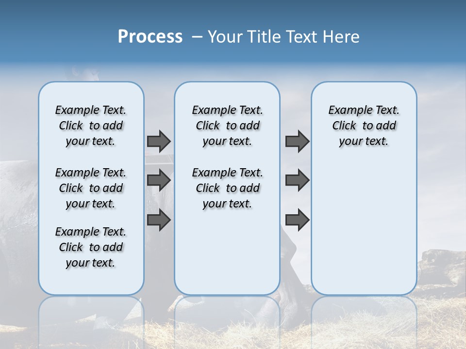 Hippo Boy Connection PowerPoint Template