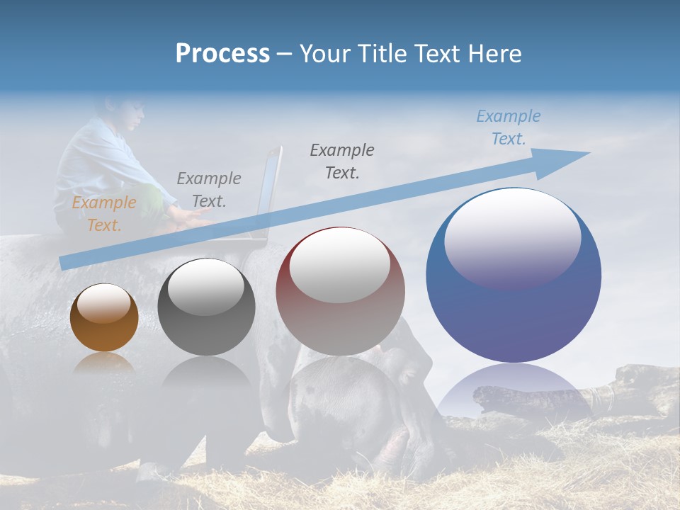 Hippo Boy Connection PowerPoint Template