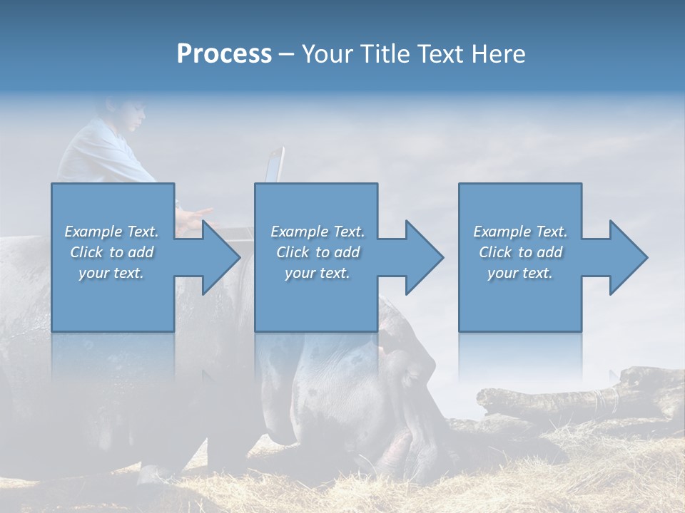 Hippo Boy Connection PowerPoint Template