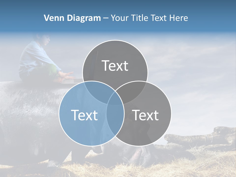 Hippo Boy Connection PowerPoint Template