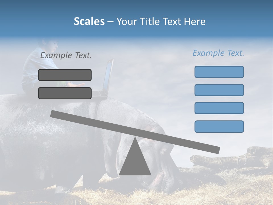 Hippo Boy Connection PowerPoint Template