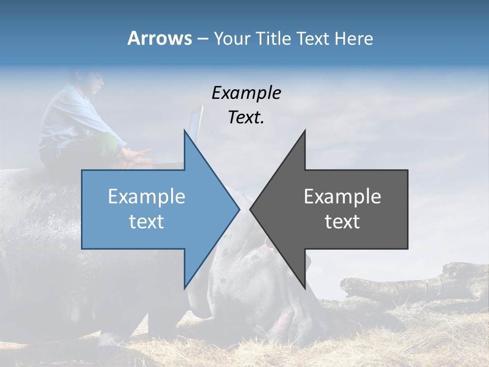 Hippo Boy Connection PowerPoint Template