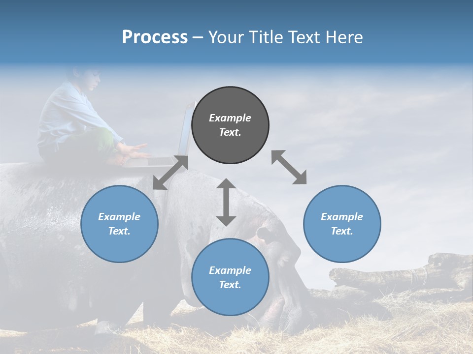 Hippo Boy Connection PowerPoint Template