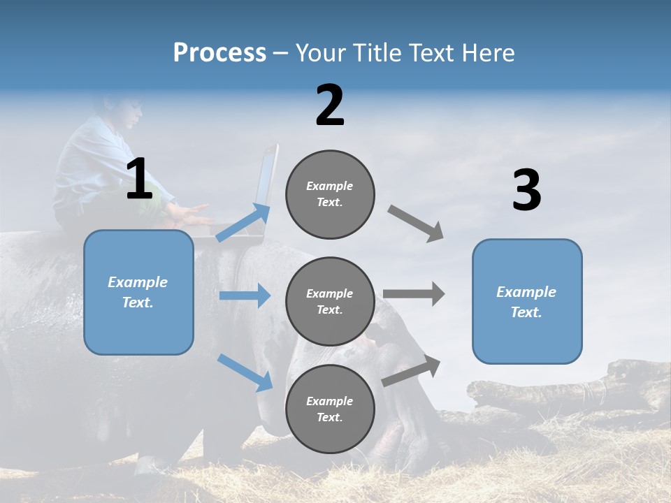 Hippo Boy Connection PowerPoint Template