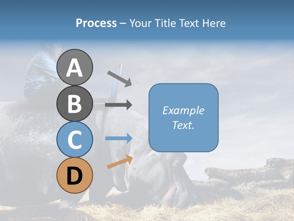 Hippo Boy Connection PowerPoint Template
