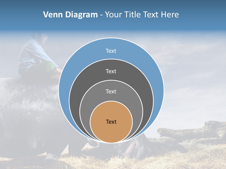 Hippo Boy Connection PowerPoint Template