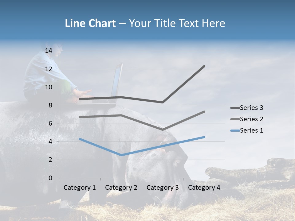 Hippo Boy Connection PowerPoint Template