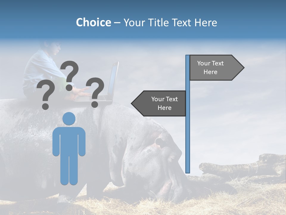 Hippo Boy Connection PowerPoint Template