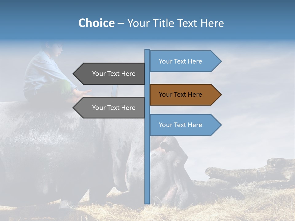 Hippo Boy Connection PowerPoint Template