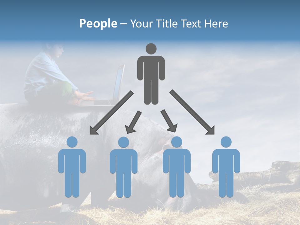 Hippo Boy Connection PowerPoint Template