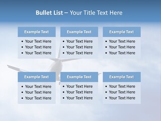 Sky Air Protection PowerPoint Template