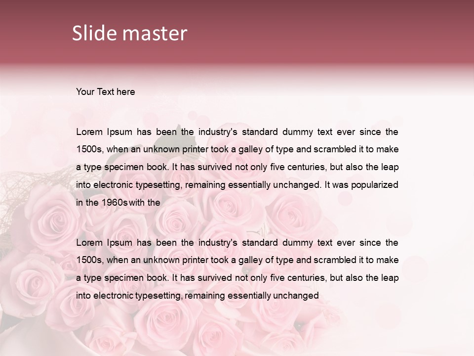 A Bouquet Of Pink Roses On A White Background PowerPoint Template