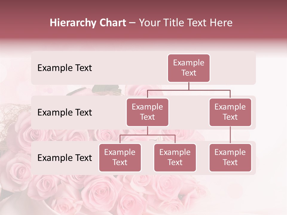 A Bouquet Of Pink Roses On A White Background PowerPoint Template