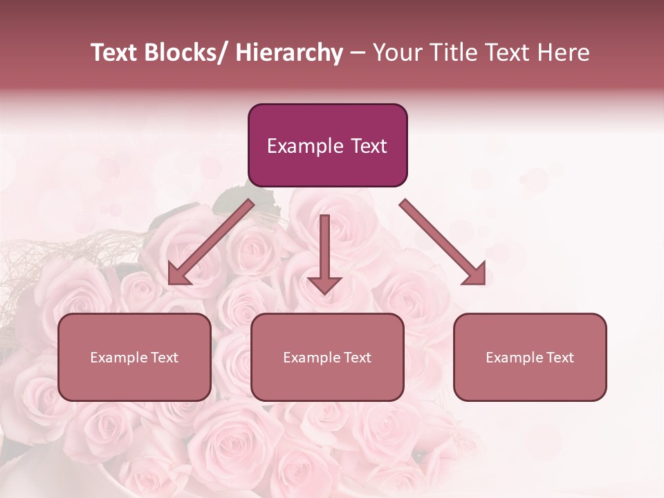 A Bouquet Of Pink Roses On A White Background PowerPoint Template