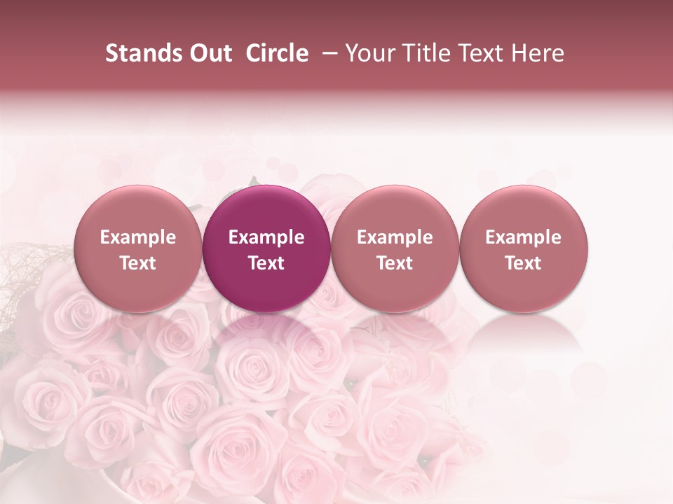 A Bouquet Of Pink Roses On A White Background PowerPoint Template