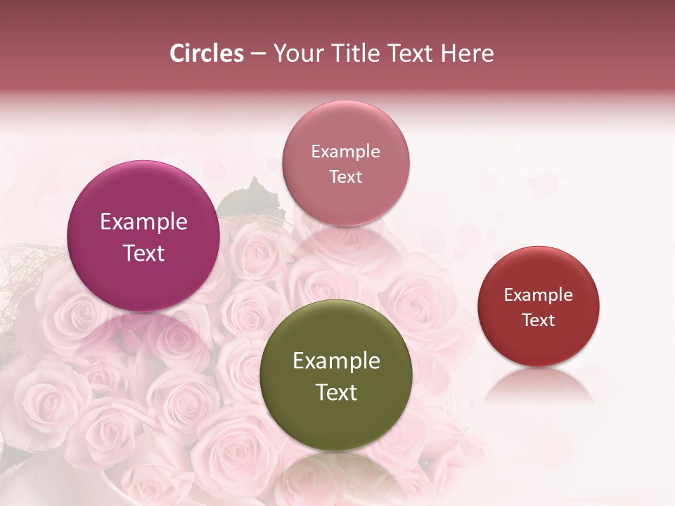 A Bouquet Of Pink Roses On A White Background PowerPoint Template