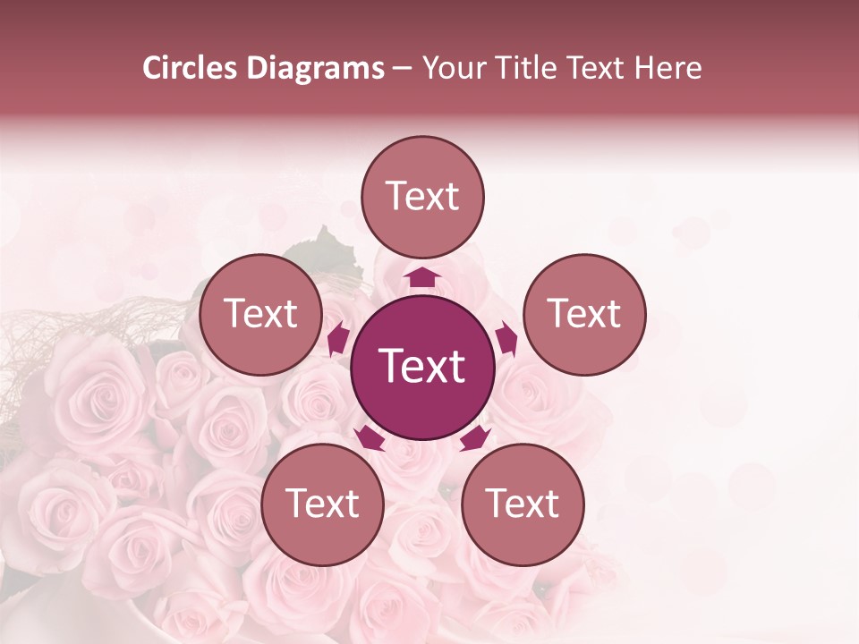 A Bouquet Of Pink Roses On A White Background PowerPoint Template