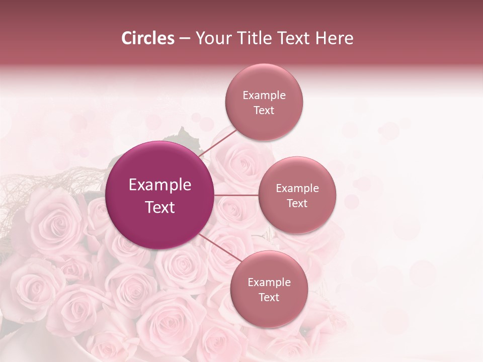 A Bouquet Of Pink Roses On A White Background PowerPoint Template