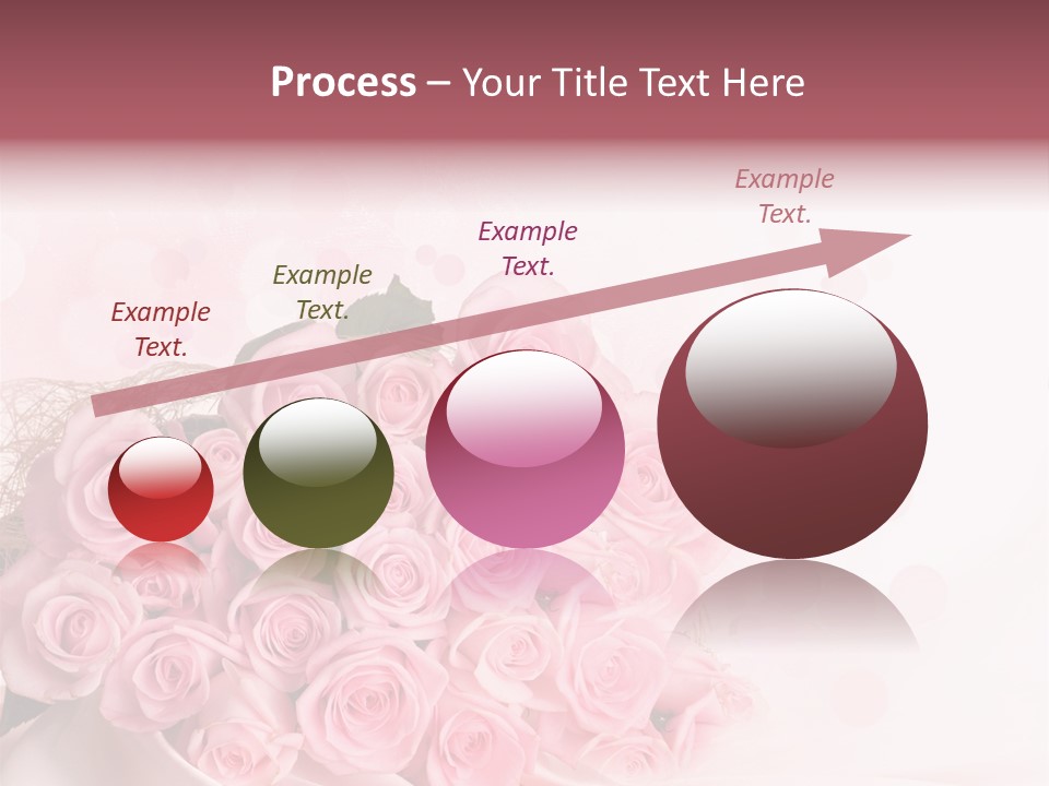 A Bouquet Of Pink Roses On A White Background PowerPoint Template
