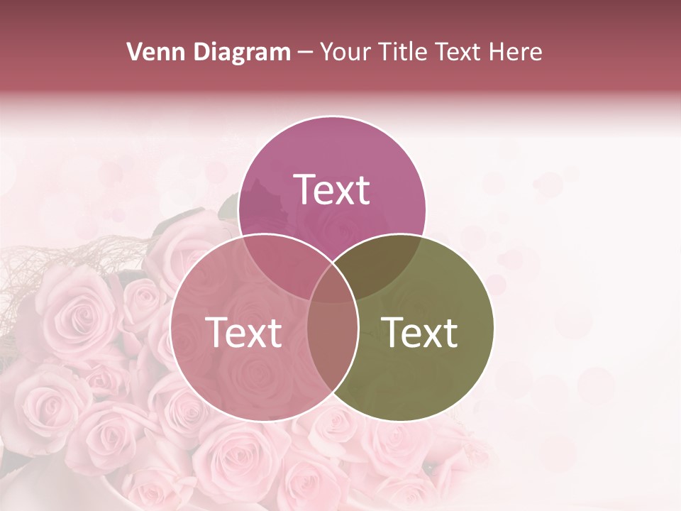 A Bouquet Of Pink Roses On A White Background PowerPoint Template