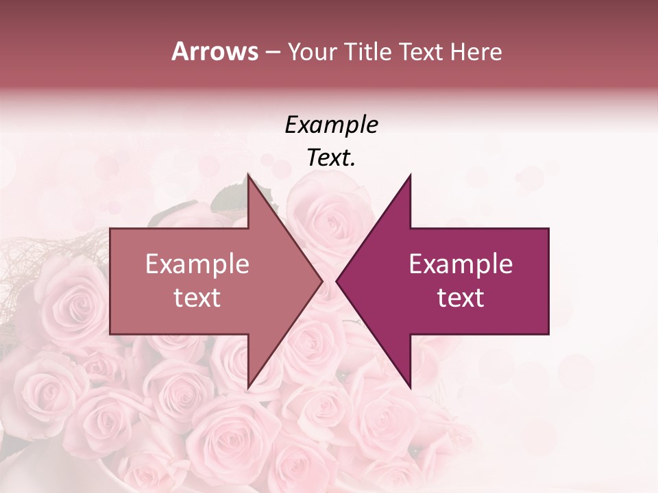 A Bouquet Of Pink Roses On A White Background PowerPoint Template