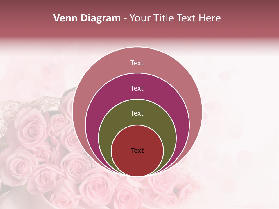 A Bouquet Of Pink Roses On A White Background PowerPoint Template