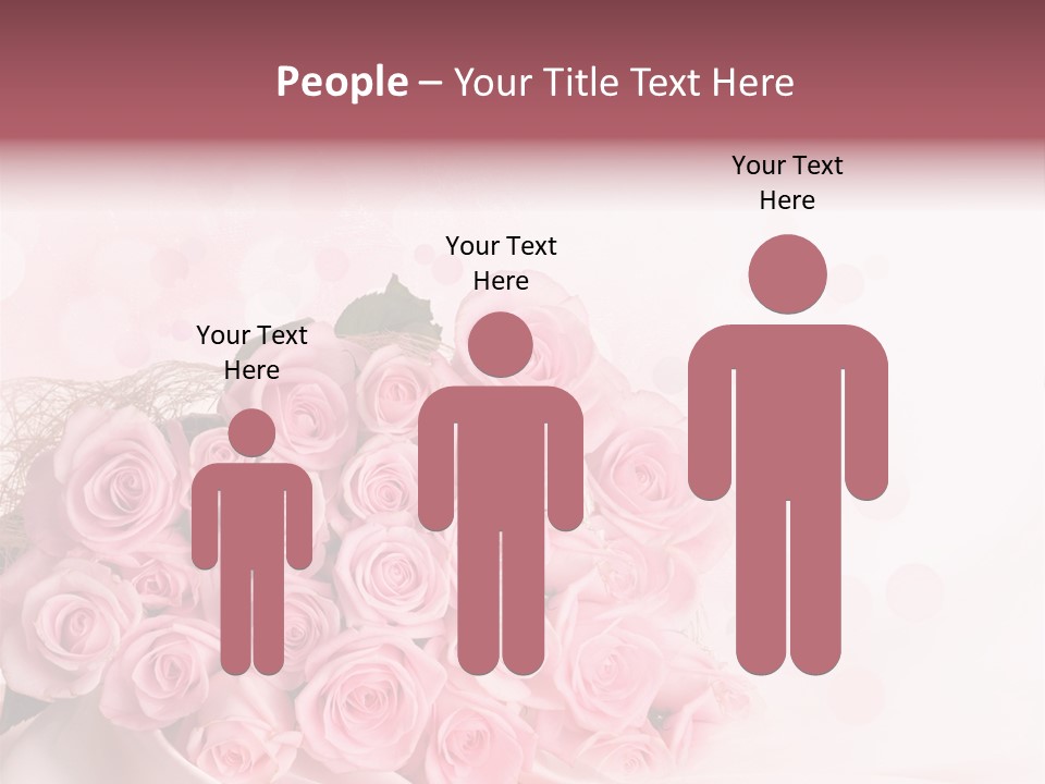 A Bouquet Of Pink Roses On A White Background PowerPoint Template