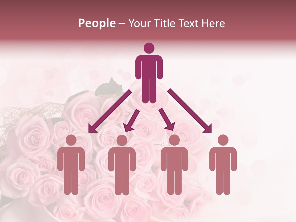 A Bouquet Of Pink Roses On A White Background PowerPoint Template