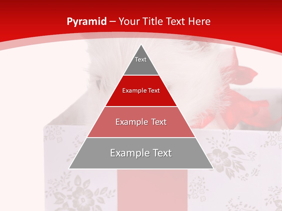 Year Beauty Small PowerPoint Template