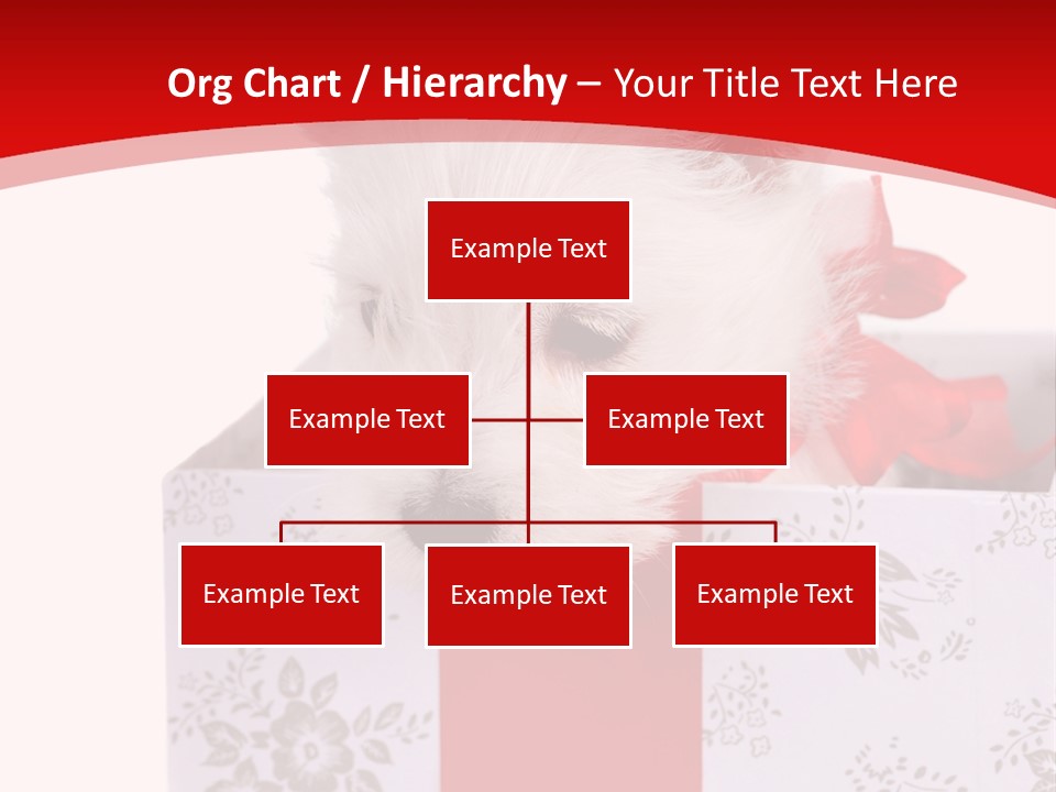 Year Beauty Small PowerPoint Template