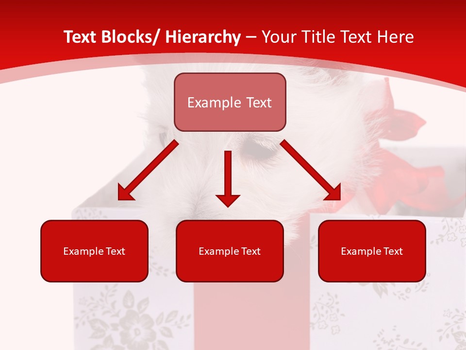 Year Beauty Small PowerPoint Template