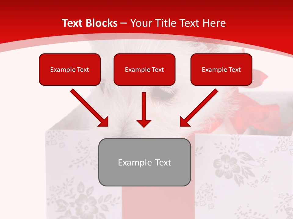 Year Beauty Small PowerPoint Template