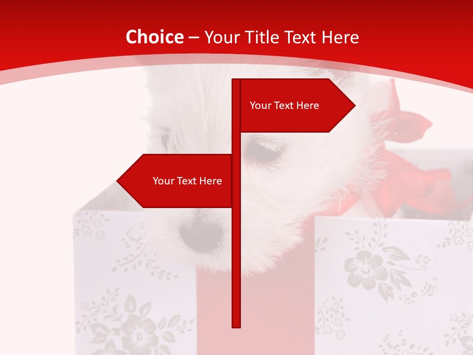 Year Beauty Small PowerPoint Template