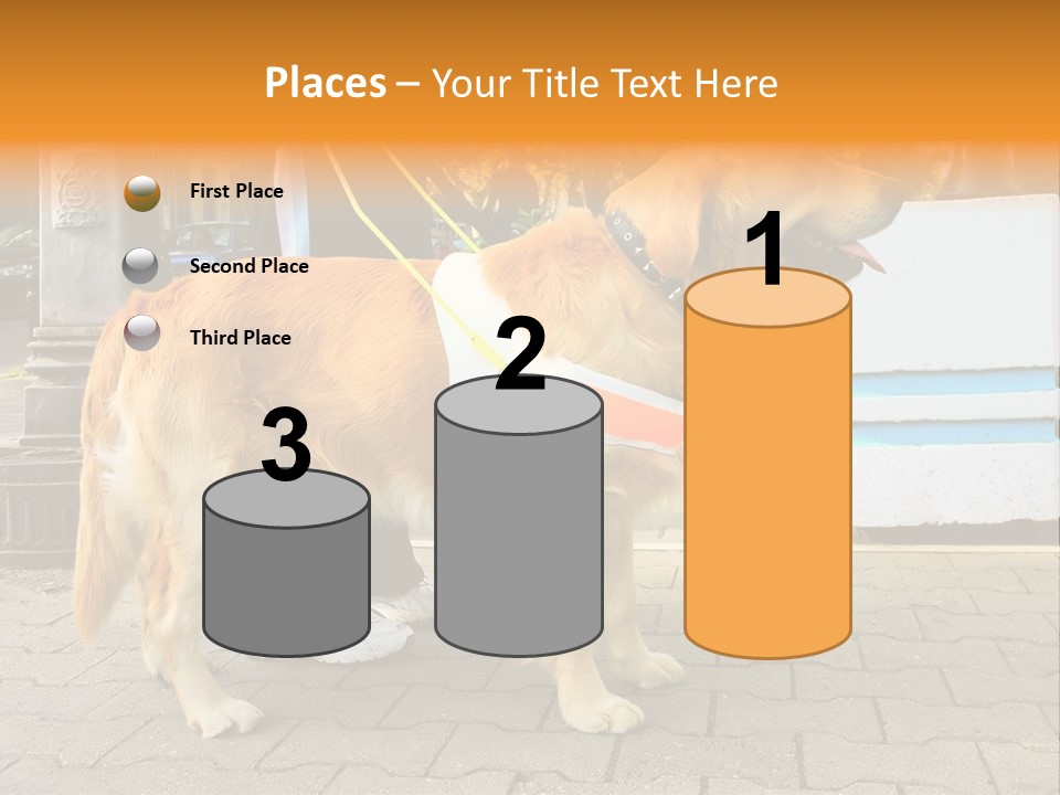 Skilled Skills Unsighted PowerPoint Template