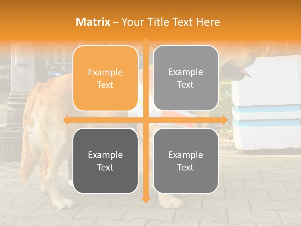 Skilled Skills Unsighted PowerPoint Template