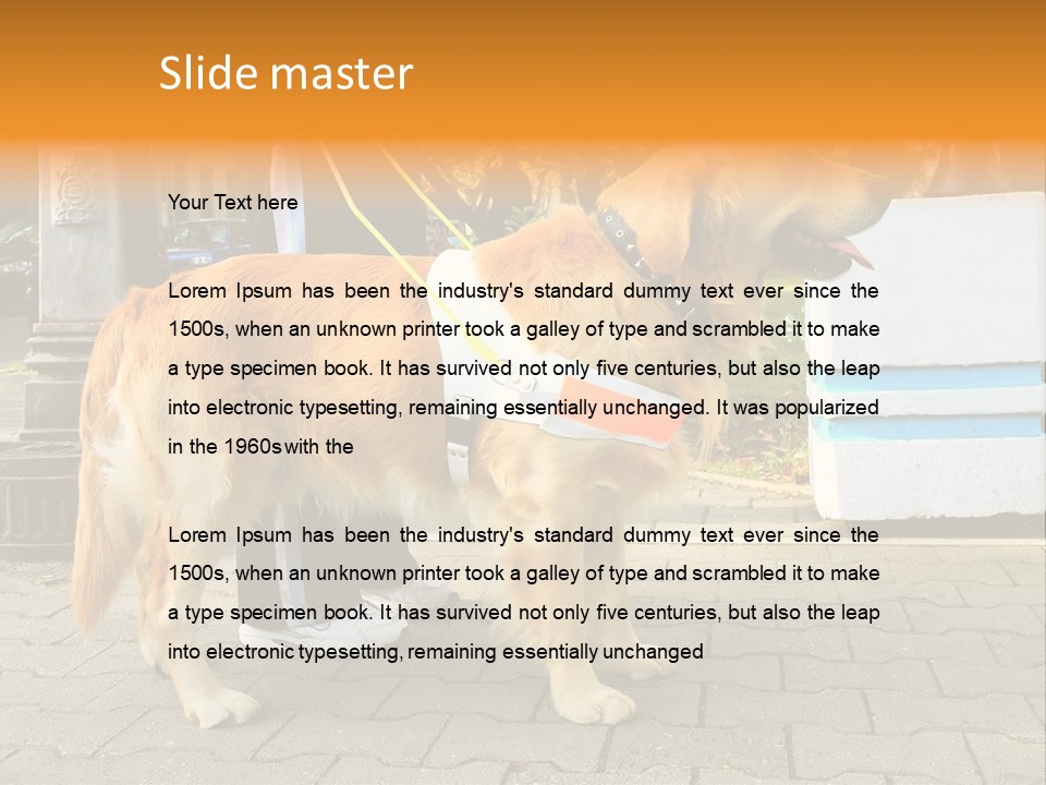 Skilled Skills Unsighted PowerPoint Template