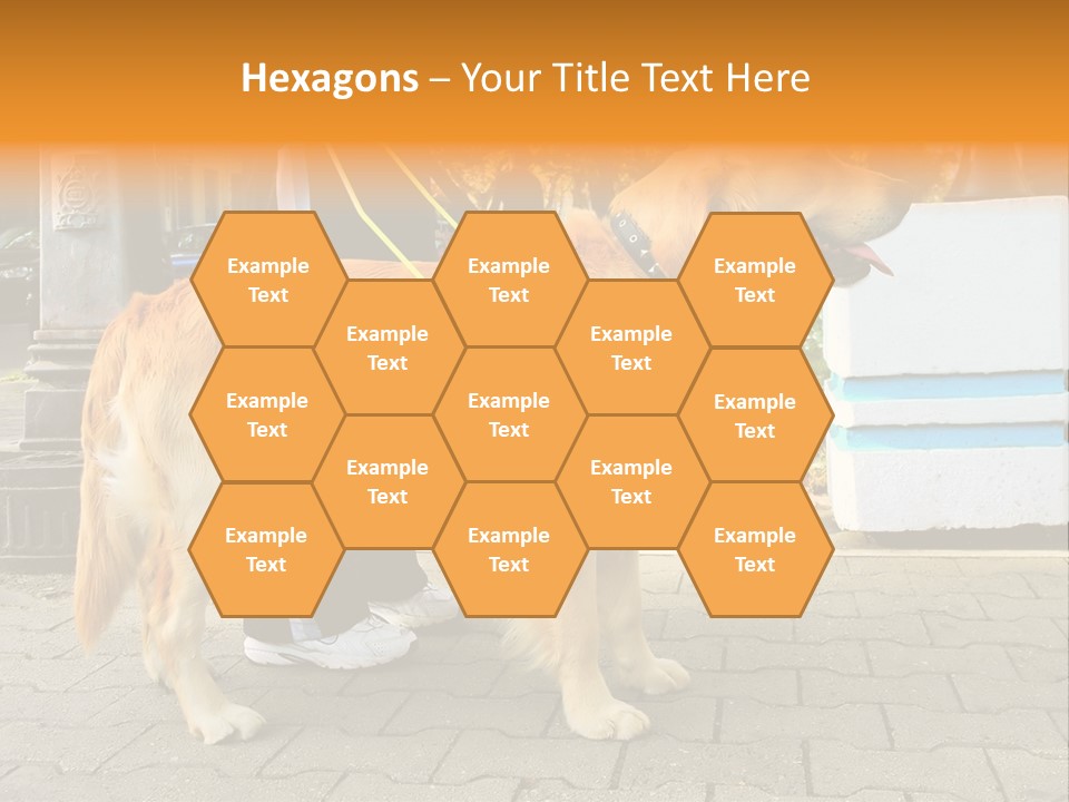 Skilled Skills Unsighted PowerPoint Template