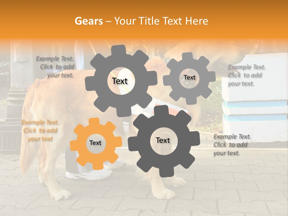 Skilled Skills Unsighted PowerPoint Template