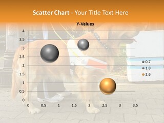 Skilled Skills Unsighted PowerPoint Template