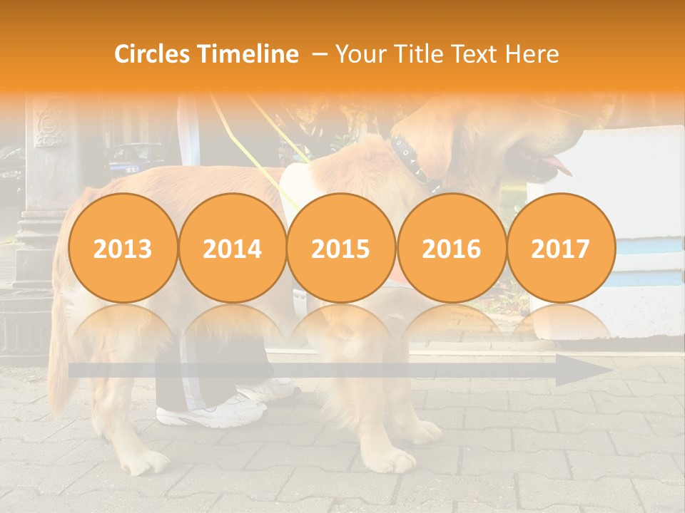 Skilled Skills Unsighted PowerPoint Template